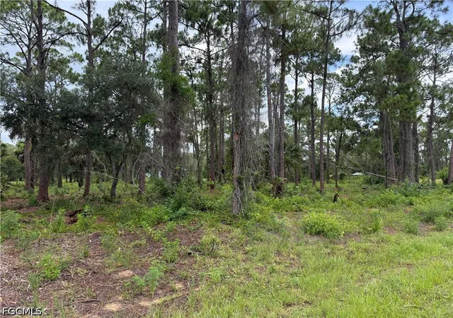 Photo 3 of Land for sale at 1911 Mcarthur Ave, Lehigh Acres, FL 33972 | MLS# 2026027915 | Listing updated on 2026-08-04
