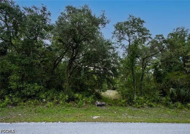 Homes for sale in Webster, FL | 34122 August Ave, Webster, FL 33597 | MLS# 2026028066