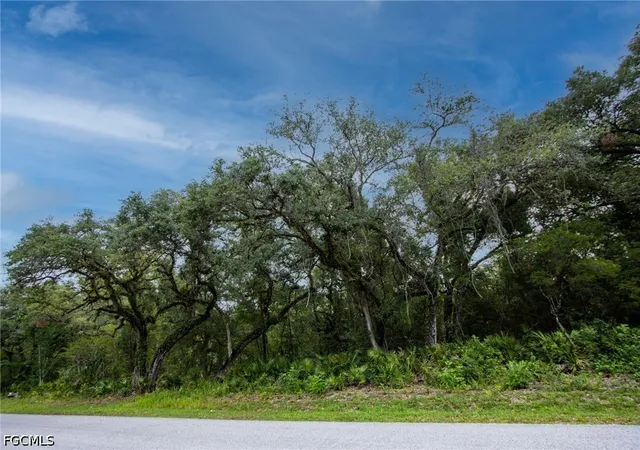 Homes for sale in Webster, FL | 34122 August Ave, Webster, FL 33597 | MLS# 2026028066