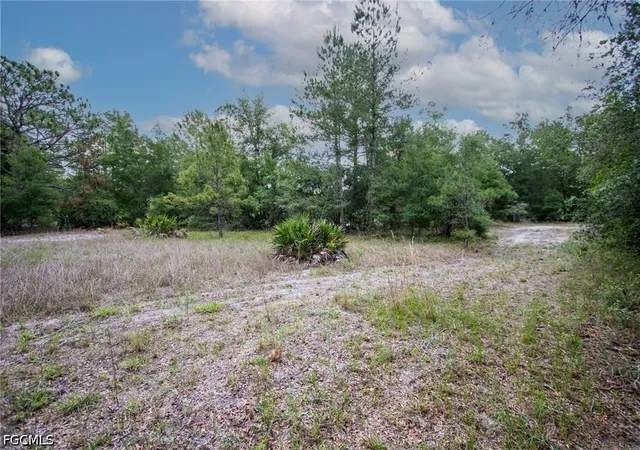 Homes for sale in Webster, FL | 34122 August Ave, Webster, FL 33597 | MLS# 2026028066