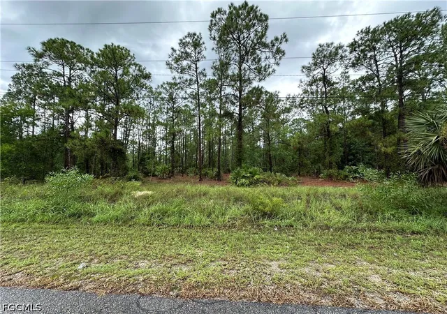 Photo 3 of Land for sale at 1103 Thompson Ave, Lehigh Acres, FL 33972 | MLS# 2026028082 | Listing updated on 2026-06-28
