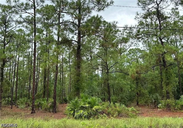 Photo 4 of Land for sale at 1103 Thompson Ave, Lehigh Acres, FL 33972 | MLS# 2026028082 | Listing updated on 2026-06-28