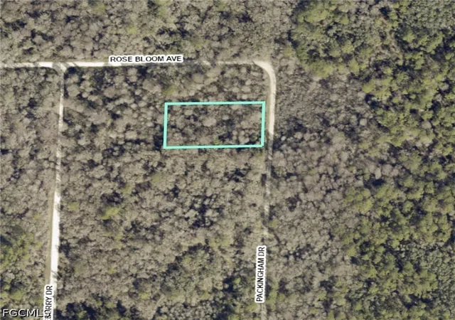 Homes for sale in Webster, FL | 8009 Packingham St, Webster, FL 33597 | MLS# 2026028084