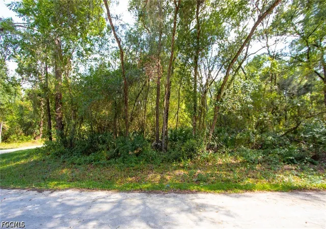 Homes for sale in Webster, FL | 8009 Packingham St, Webster, FL 33597 | MLS# 2026028084