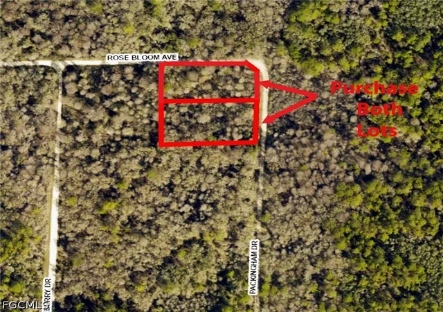 Homes for sale in Webster, FL | 8009 Packingham St, Webster, FL 33597 | MLS# 2026028084