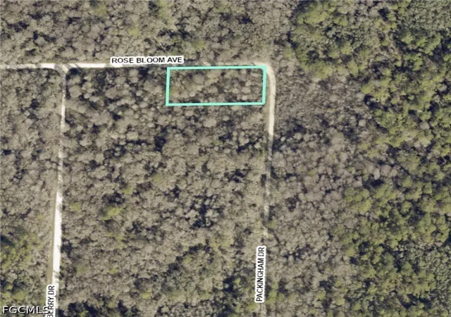 Homes for sale in Webster, FL | 33464 Packingham Dr, Webster, FL 33597 | MLS# 2026028086