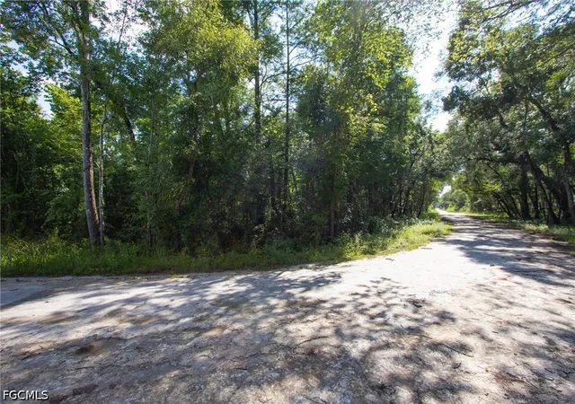 Homes for sale in Webster, FL | 33464 Packingham Dr, Webster, FL 33597 | MLS# 2026028086