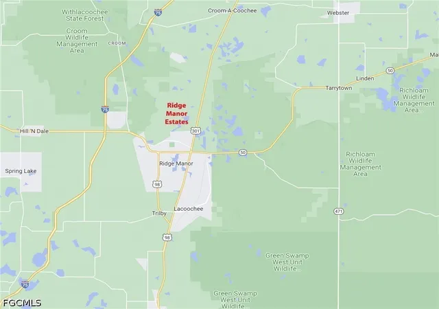 Homes for sale in Webster, FL | 33464 Packingham Dr, Webster, FL 33597 | MLS# 2026028086