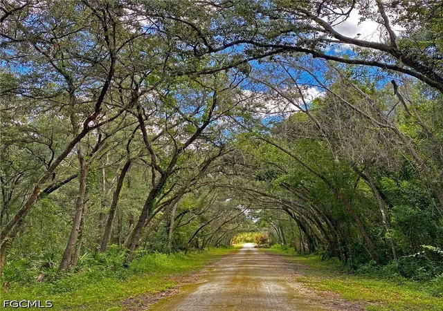 Photo 3 of Land for sale at 35028 Batesfield St, Webster, FL 33597 | MLS# 2026028091 | Listing updated on 2026-06-29