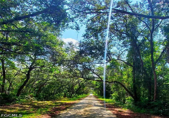 Photo 3 of Land for sale at 35028 Batesfield St, Webster, FL 33597 | MLS# 2026028091 | Listing updated on 2026-06-29
