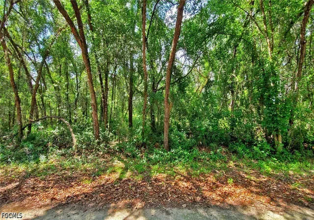 Photo 4 of Land for sale at 35028 Batesfield St, Webster, FL 33597 | MLS# 2026028091 | Listing updated on 2026-06-29