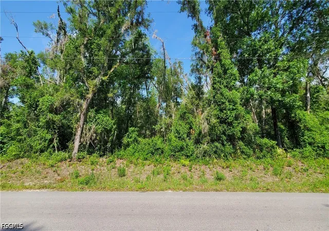 Homes for sale in Webster, FL | 7475 Shasta St, Webster, FL 33597 | MLS# 2026028093