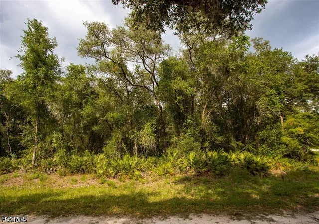 Homes for sale in Webster, FL | 7478 N Canal St, Webster, FL 33597 | MLS# 2026028094