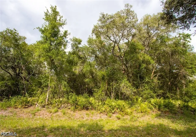 Homes for sale in Webster, FL | 7478 N Canal St, Webster, FL 33597 | MLS# 2026028094