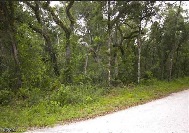 Homes for sale in Webster, FL | 7466 Northwest Ave, Webster, FL 33597 | MLS# 2026028097