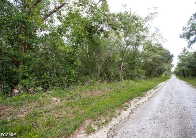 Photo 3 of Land for sale at 7406 Southeast Ave, Webster, FL 33597 | MLS# 2026028099 | Listing updated on 2026-06-29