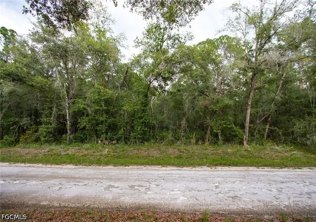 Homes for sale in Webster, FL | 7398 Southeast Ave, Webster, FL 33597 | MLS# 2026028100