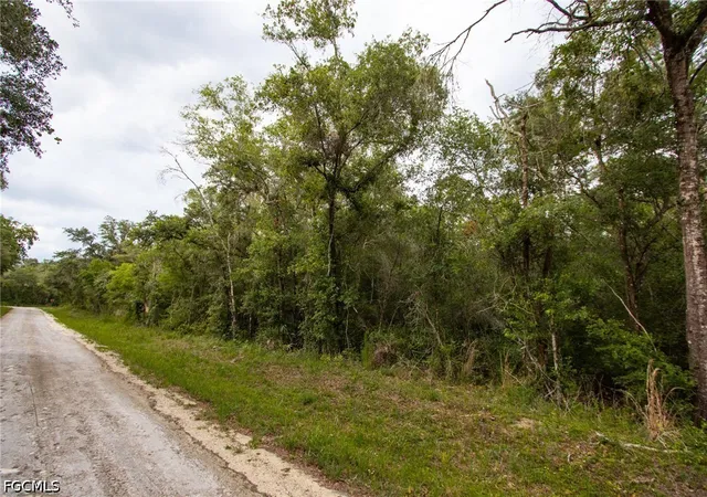 Homes for sale in Webster, FL | 7398 Southeast Ave, Webster, FL 33597 | MLS# 2026028100