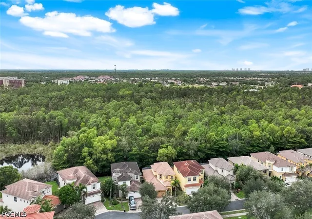 Homes for sale in Estero, FL | 10253 S Silver Palm Dr, Estero, FL 33928 | MLS# 2026028420