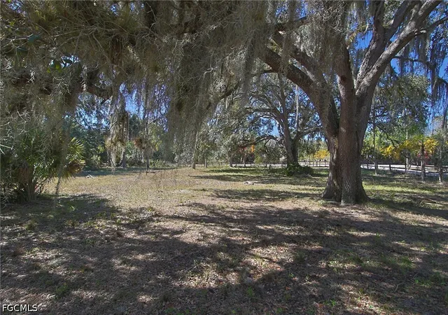 Homes for sale in Alva, FL | 2971 Styles Rd, Alva, FL 33920 | MLS# 2026028621