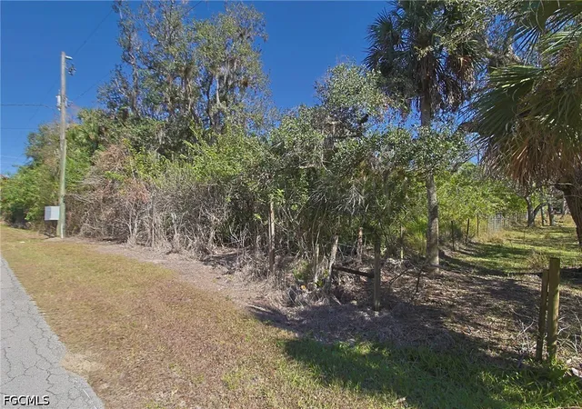 Homes for sale in Alva, FL | 2975 Styles Rd, Alva, FL 33920 | MLS# 2026028629