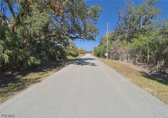 Homes for sale in Alva, FL | 2975 Styles Rd, Alva, FL 33920 | MLS# 2026028629
