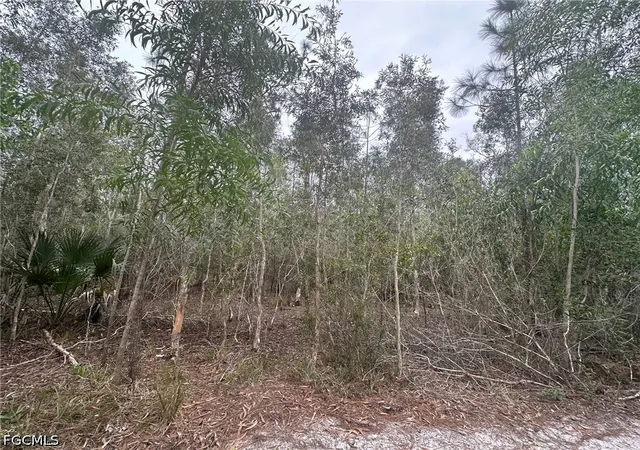 4th image of 2258 Brooklawn Dr, North Fort Myers, FL 33917 | MLS# 2026028704