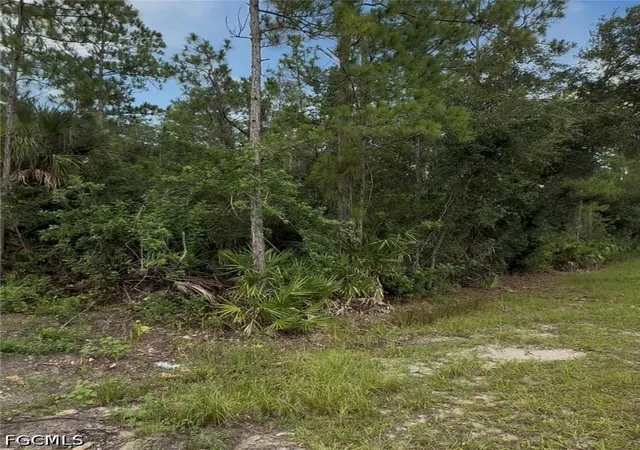 4th image of 2114 Wellington Ave, Alva, FL 33920 | MLS# 2026029096
