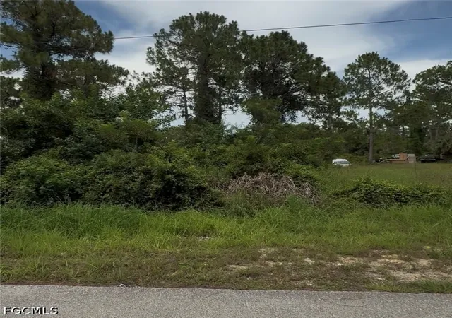 Homes for sale in Alva, FL | 2018 Leroy Ave, Alva, FL 33920 | MLS# 2026029100