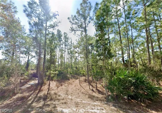 Photo 1 of Land for sale at 339 Mines St, Lehigh Acres, FL 33972 | MLS# 2026029524 | Listing updated on 2026-07-09