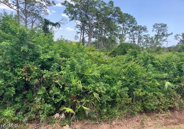 Photo 2 of Land for sale at 1494 Youngman St, Port Charlotte, FL 33953 | MLS# 2026029663 | Listing updated on 2026-07-10