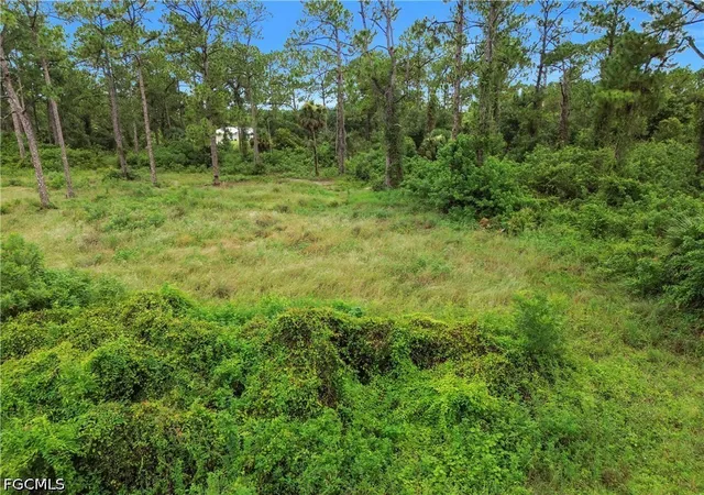 10th image of 2005 Columbus Ave, Alva, FL 33920 | MLS# 2026029709