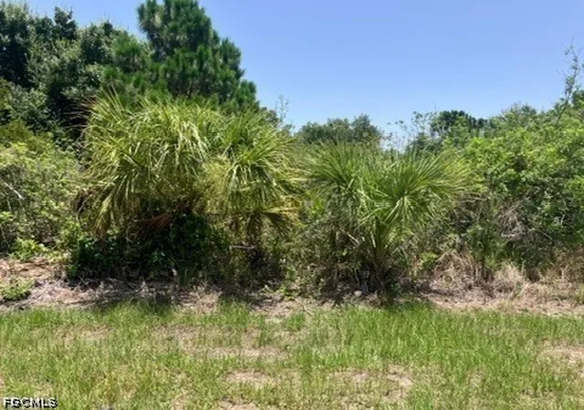 Photo 3 of Land for sale at 7034 Kaler St, Port Charlotte, FL 33981 | MLS# 2026029721 | Listing updated on 2026-07-10