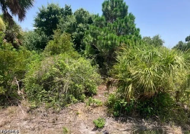 Photo 4 of Land for sale at 7034 Kaler St, Port Charlotte, FL 33981 | MLS# 2026029721 | Listing updated on 2026-07-10
