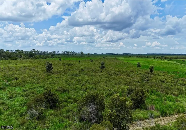 Photo 39 of Sale Pending at 0 County Line Rd E, Fort Meade, FL 33841 | MLS# 2026029995 | Listing updated on 2026-08-31