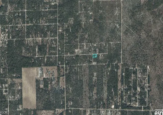Homes for sale in Bronson, FL | 03400 239 00 Ne 125th Ave, Bronson, FL 32621 | MLS# 2026030179