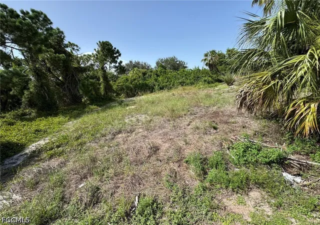 Photo 3 of Land for sale at 26492 Angelica Rd, Punta Gorda, FL 33955 | MLS# 2026030409 | Listing updated on 2026-07-16