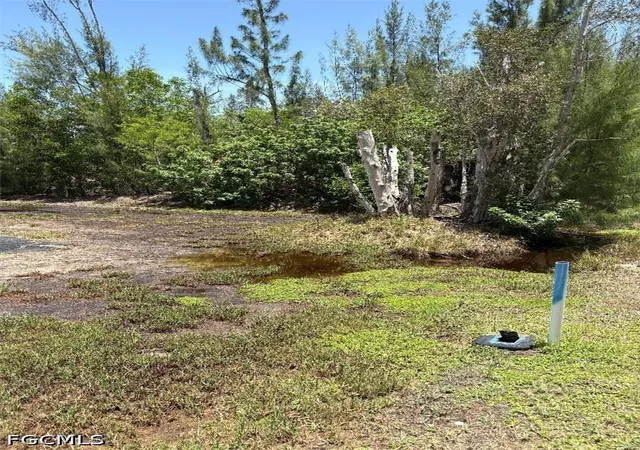 2nd image of 12681 Trend Blvd, Bokeelia, FL 33922 | MLS# 2026030473