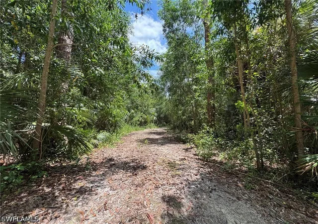 Photo 3 of Land for sale at 930 24th Avenue NE, Naples, FL 34120 | MLS# 226026491 | Listing updated on 2026-08-28