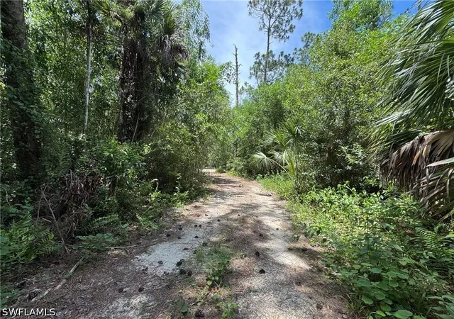 Photo 4 of Land for sale at 930 24th Avenue NE, Naples, FL 34120 | MLS# 226026491 | Listing updated on 2026-08-28