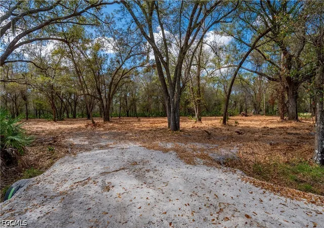 1st image of Se Hwy 31, Arcadia, FL 34266 | MLS# 2026030832