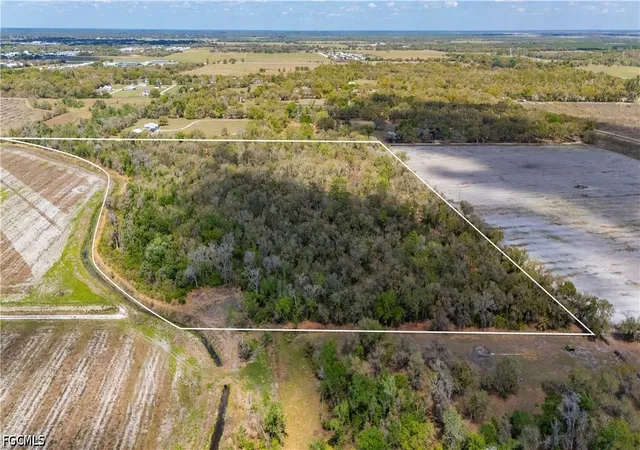 4th image of Se Hwy 31, Arcadia, FL 34266 | MLS# 2026030832