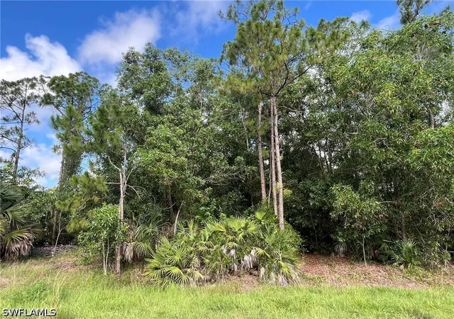 Photo 3 of Land for sale at 16th Street Ne, Naples, FL 34120 | MLS# 226026741 | Listing updated on 2026-07-20