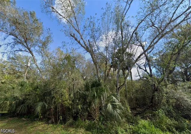 2nd image of 000 S Hickory St, Labelle, FL 33935 | MLS# 2026031710