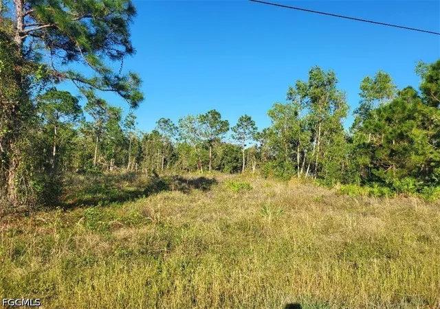 Photo 3 of Land for sale at 515 Grant Blvd, Lehigh Acres, FL 33974 | MLS# 2026031850 | Listing updated on 2026-07-30