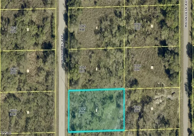Photo 2 of Land for sale at 1412 Williams Ave, Lehigh Acres, FL 33972 | MLS# 2026031875 | Listing updated on 2026-08-31