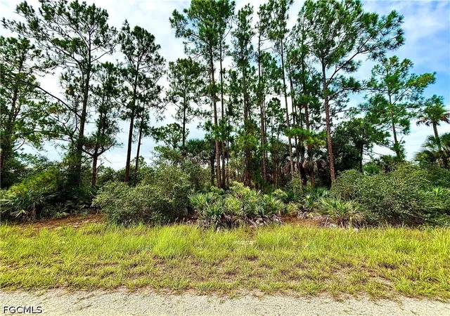 1st image of 4203 E 27th St, Alva, FL 33920 | MLS# 2026031986
