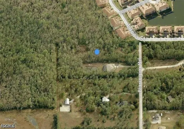 Photo 3 of Land for sale at 12491 Blasingim Rd, Fort Myers, FL 33966 | MLS# 2026032001 | Listing updated on 2026-07-28