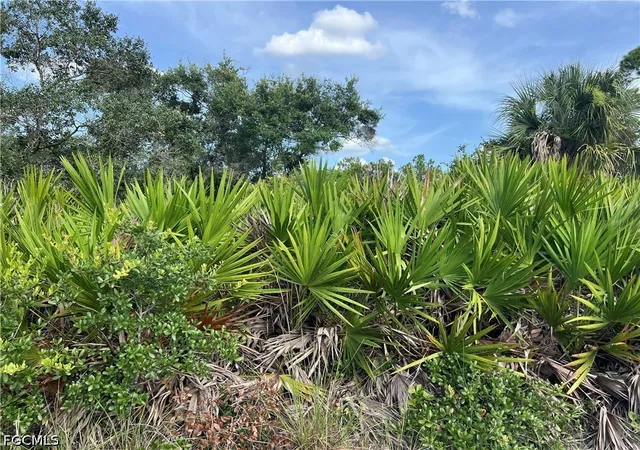 10th image of 4183 E 27th St, Alva, FL 33920 | MLS# 2026032161