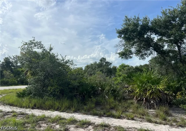 5th image of 4183 E 27Th St, Alva, FL 33920 | MLS# 2026032161